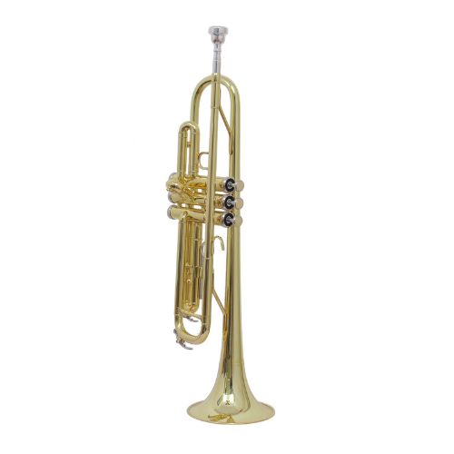 Other Brands Imported  Musical Instruments imported 13