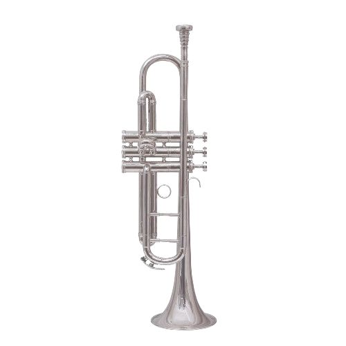 Other Brands Imported  Musical Instruments imported trumpet nickel 6