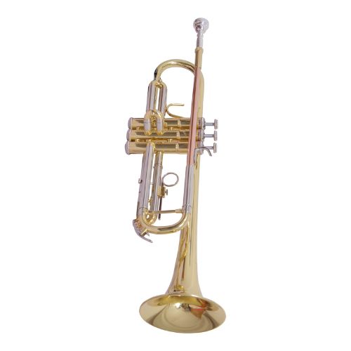 Other Brands Imported  Musical Instruments importedd 33