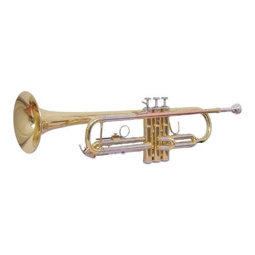 Other Brands Imported  Musical Instruments untitled design 2025 07 19t160517.799