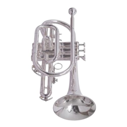 Other Brands Imported  Musical Instruments cornet imported 4