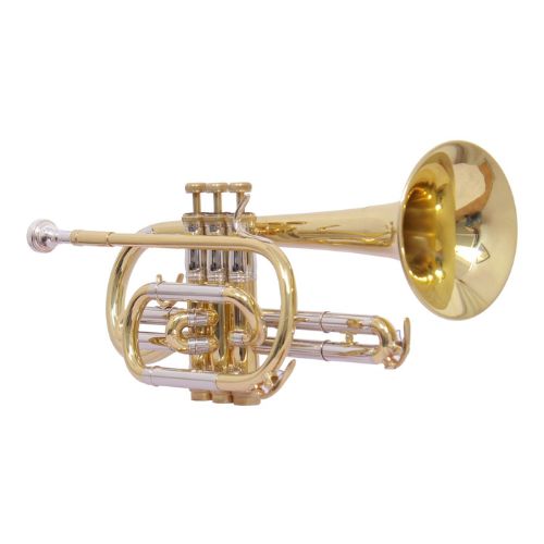 Other Brands Imported  Musical Instruments cornet imported 6