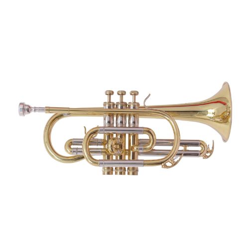 Other Brands Imported  Musical Instruments cornet imported 7