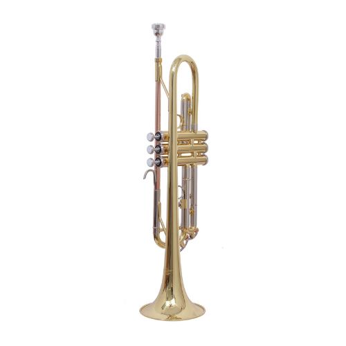 Other Brands Imported  Musical Instruments imported 11