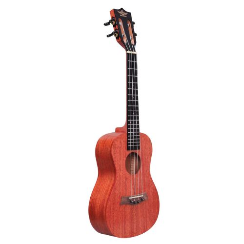 Other Brands Imported  Musical Instruments importedd 13