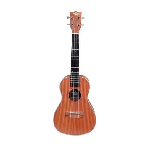 Other Brands Imported  Musical Instruments importedd 14