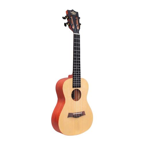 Other Brands Imported  Musical Instruments importedd 17