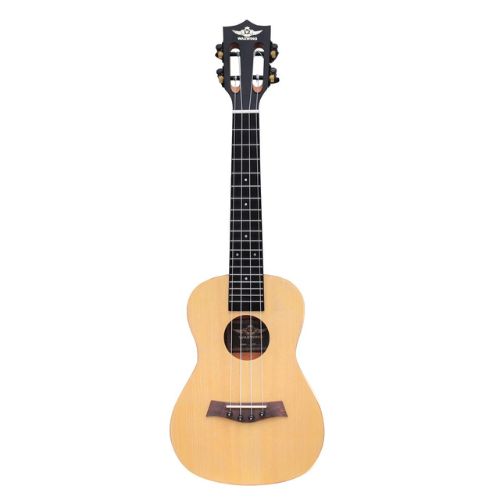 Other Brands Imported  Musical Instruments importedd 18