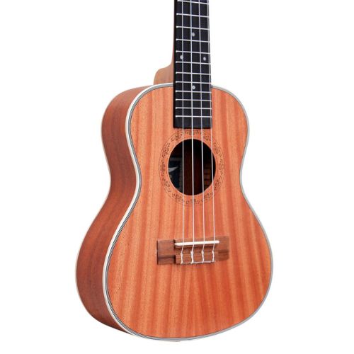Other Brands Imported  Musical Instruments importedd 19