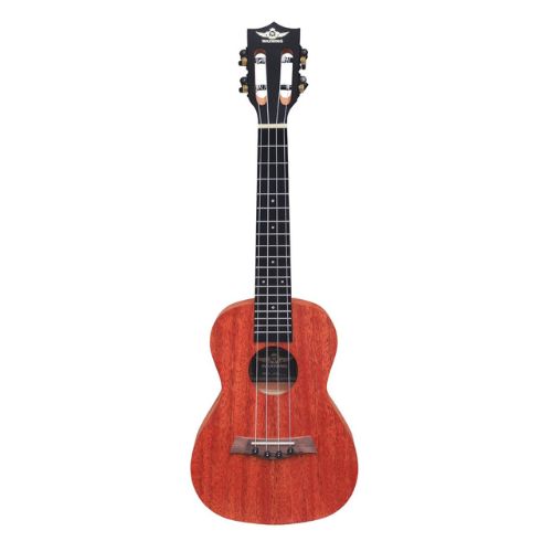 Other Brands Imported  Musical Instruments importedd 22