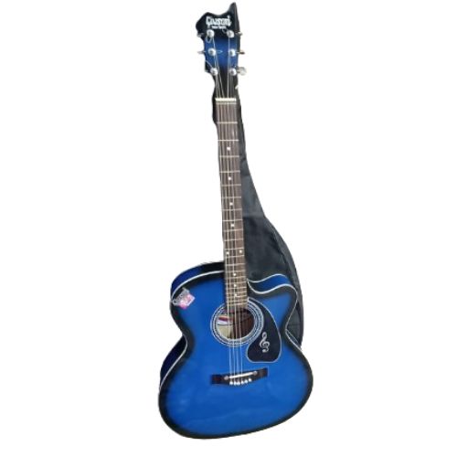 String Musical Instruments indian guitar a2