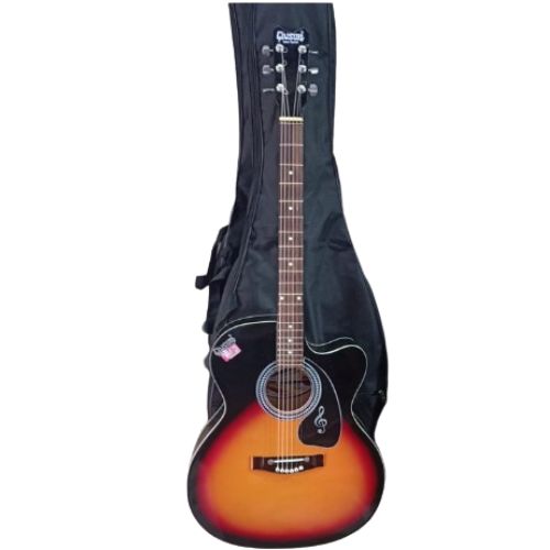 String Musical Instruments indian guitar a3