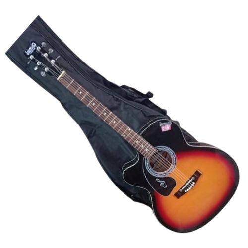 String Musical Instruments indian guitar a4