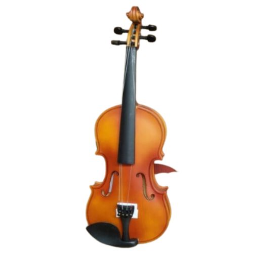 String Musical Instruments indian violin 3