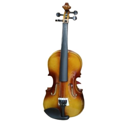 String Musical Instruments indian violin 4