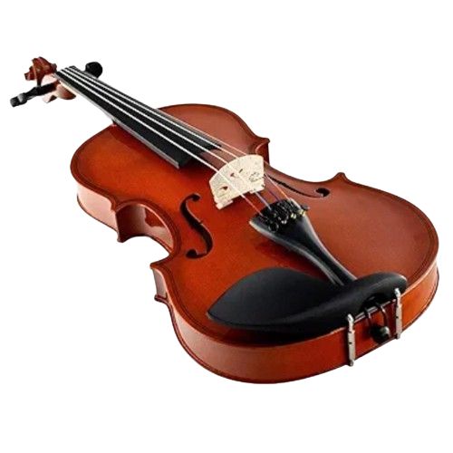 String Musical Instruments indian violin
