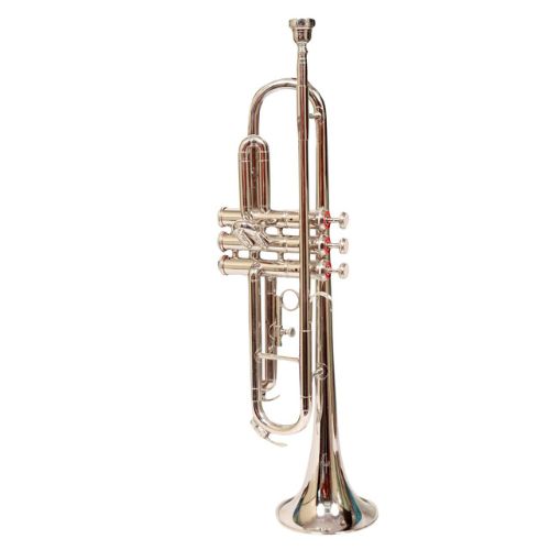 Brass Wind Musical Instruments untitled design 2025 07 15t175938.039