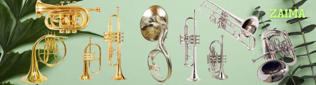 Best Musical Instruments for School Bands, Army Bands, Marching Parades & Music Lovers – ZAIMA Musicals Best Musical Instruments for School Bands, Army Bands, Marching Parades & Music Lovers – ZAIMA Musicals